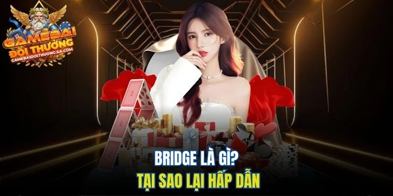Bridge là gì? Tại sao lại hấp dẫn Bridge là gì? Tại sao lại hấp dẫn