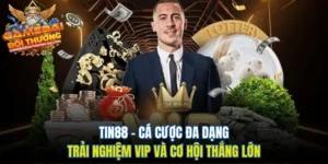 Tin88 – Cá Cược Đa Dạng Trải Nghiệm VIP Và Cơ Hội Thắng Lớn